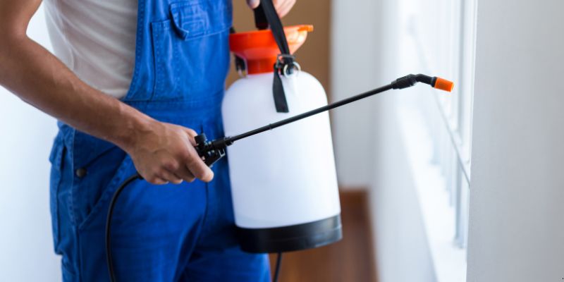 Como Fazer Dedetização em Casa em Cotia: 4 Dicas Simples Como fazer dedetização em casa em Cotia