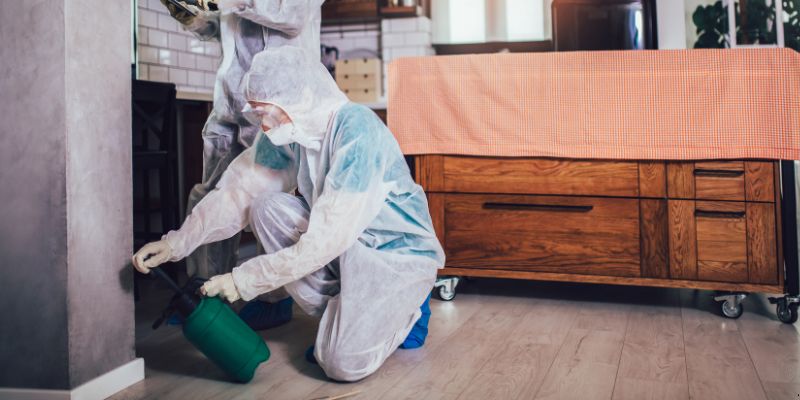 Dedetização em Apartamento Como Funciona em Cotia: Confira 4 Passos Dedetização em Apartamento Como Funciona em Cotia: Confira 4 Passos