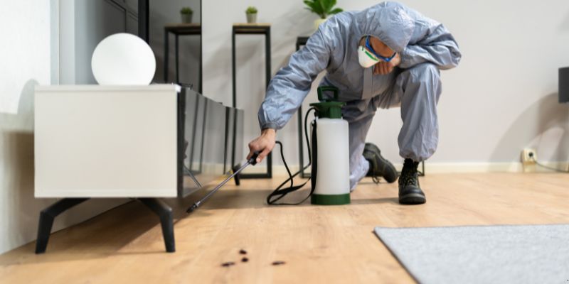 Quanto Tempo Dura Uma Dedetização em Cotia? Confira! Quanto tempo dura uma dedetização em Cotia?